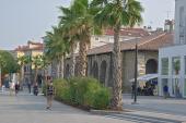 Koper